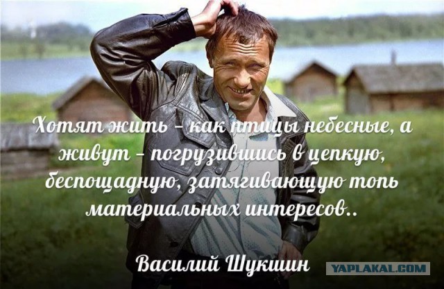 Поколение лентяев или старческое бурдение