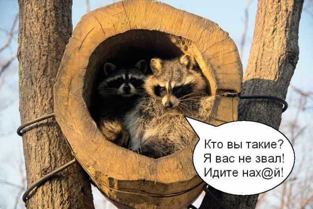 Подборка интересных и веселых картинок