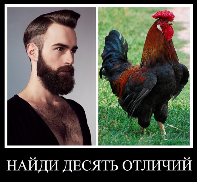 Всем моим бородатым друзьям посвящается
