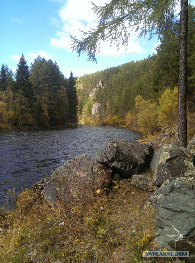 Братья и сестры