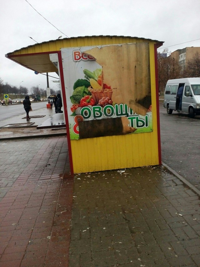 Подборка интересных и веселых картинок