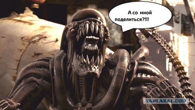 Проблемы мотоциклистов, которыми не делятся с чужими