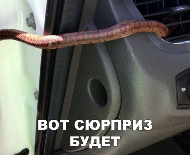 Нестандартный юмор