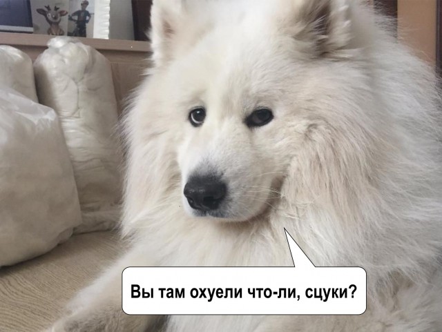 "Илита" возмущена! В их доме открыли магазин для челяди.