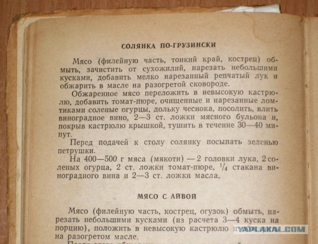 Солянка не по-грузински с церковным Кагором (не суп)