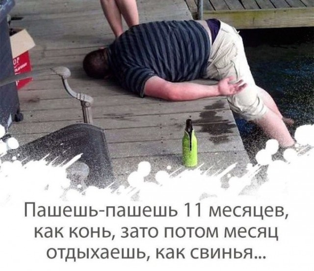 Прикольные комментарии и высказывания из Сети 10.08.19