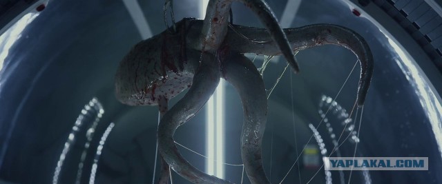 «Картинки разные нужны, картинки разные важны" ©