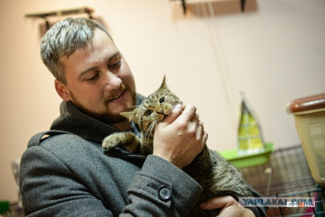 История со счастливым концом