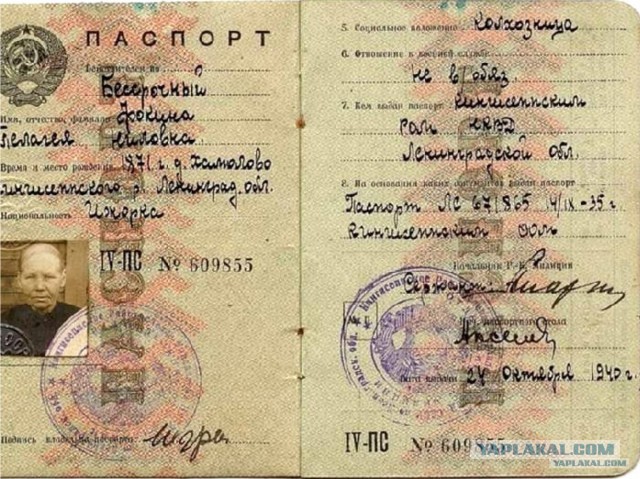 За что либералы сильно ненавидят Иосифа Сталина