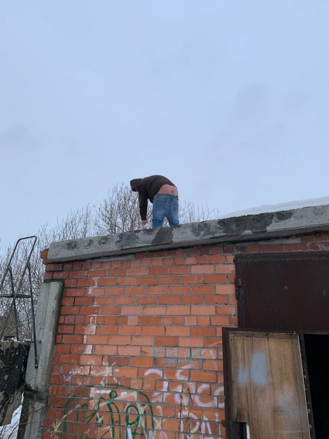 Скотсети и прочие интернеты 20.03.20