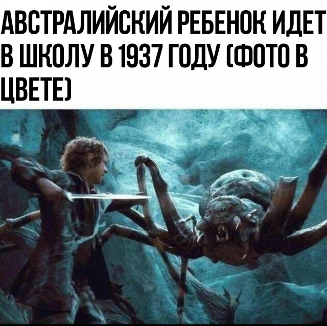 "Везунчик" прямо... Парень исполнил мечту, став смотрителем дикой природы, но в первую же неделю стал едой для акулы