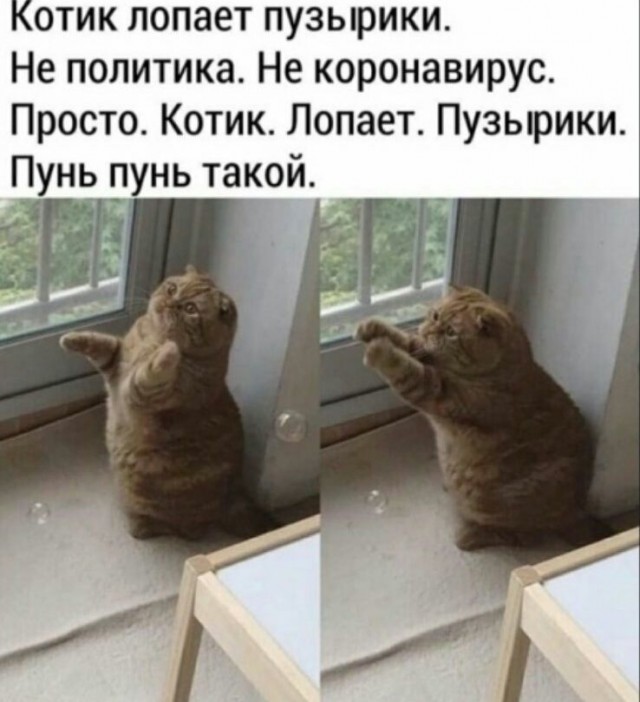 Чуток картинок 15.04.20