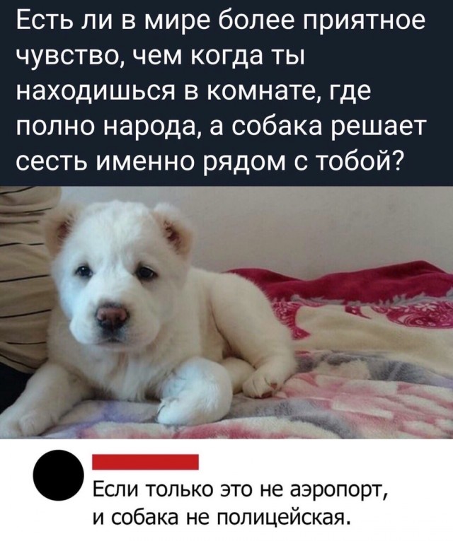 Немного картинок для настроения 25.06.20