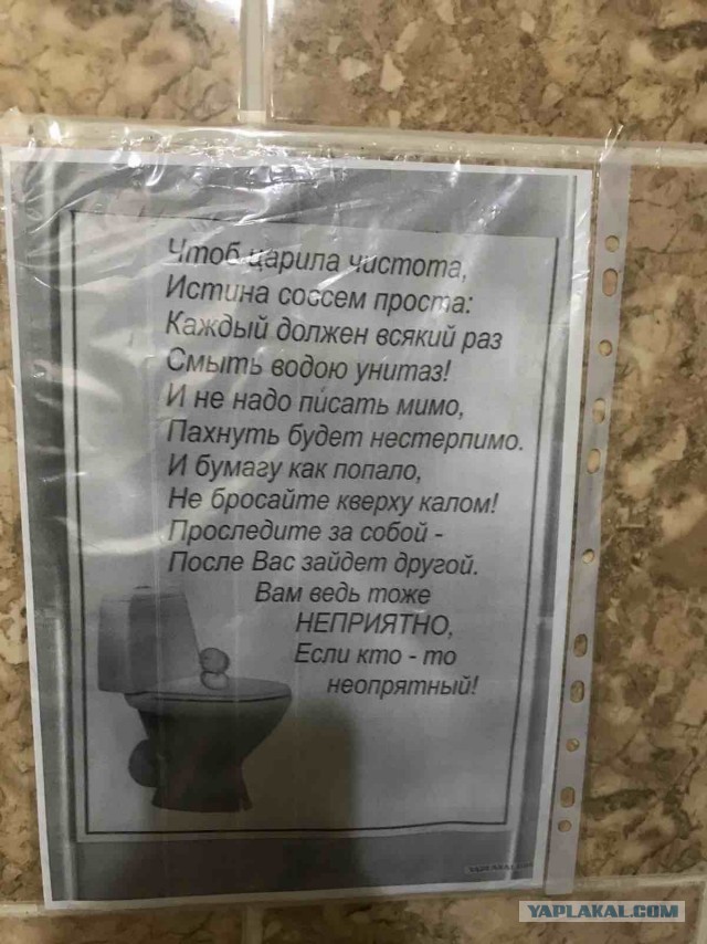 А какое у вас последнее фото на телефоне?