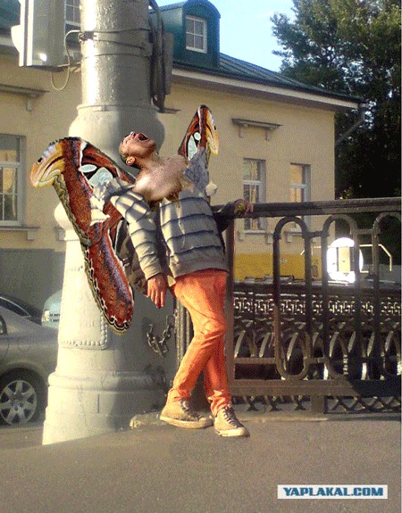 Как можно так спать?
