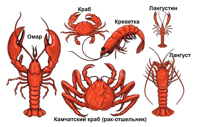 Очерки с Кубы или история одного фрилансера