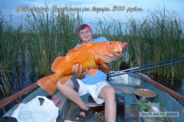 Фотожаба: Рыбаки без рыбы