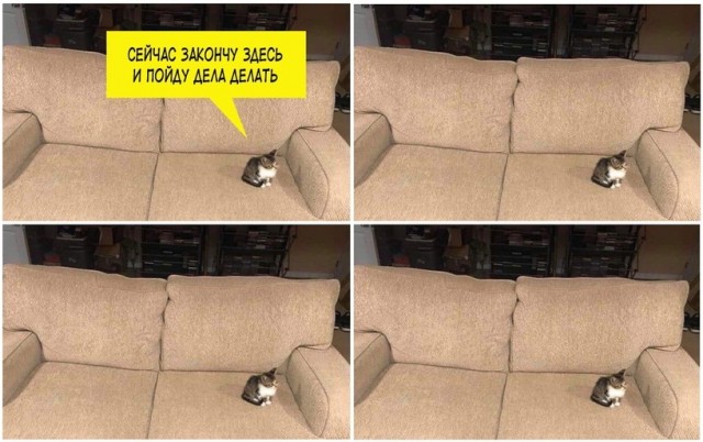 Эй вы, давно не деградировали?!