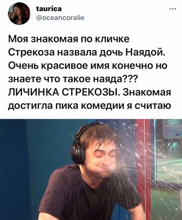 Весёлый полтишок 3.03