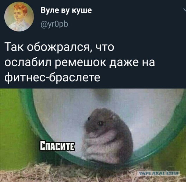 Перлы 10.03.2021