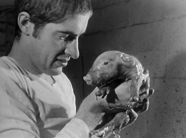 Доминик гарни. Доминик гарни актер. Доминик гарни фото. Доминик гарни актер. Тьерри зено.