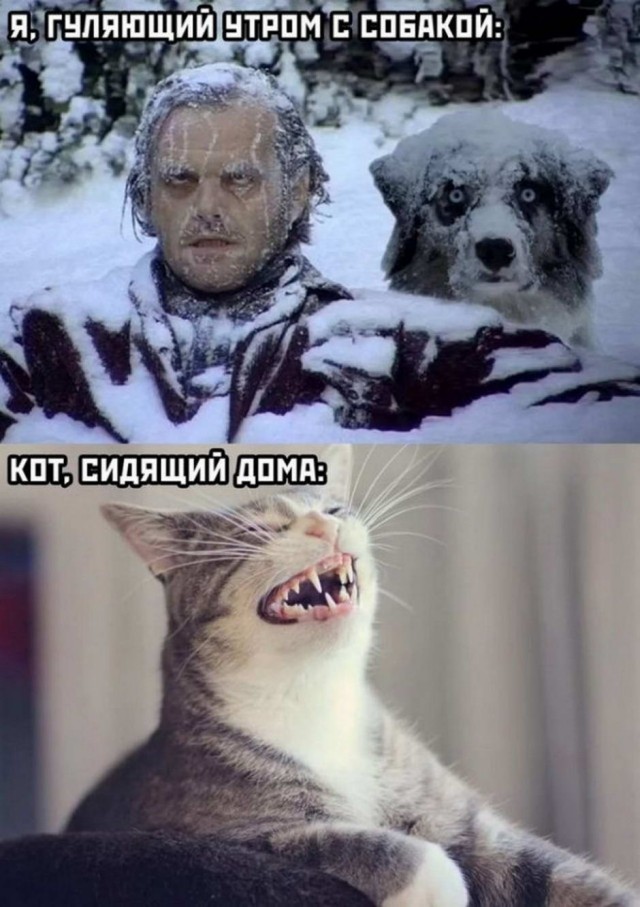 Картинки и мемы, всем прекрасных выходных