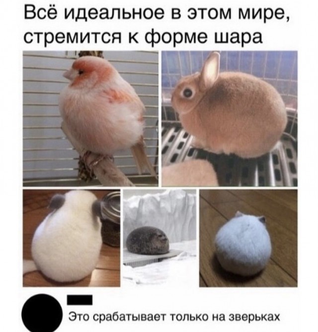 Картинки и мемы для настроения 23.09.2021