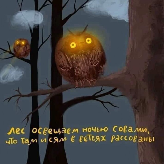 Выпь