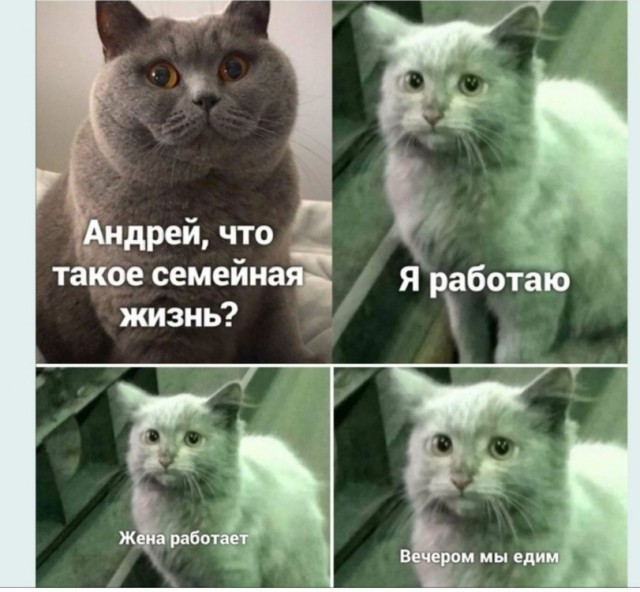 Картинки на субботу 04.12.21