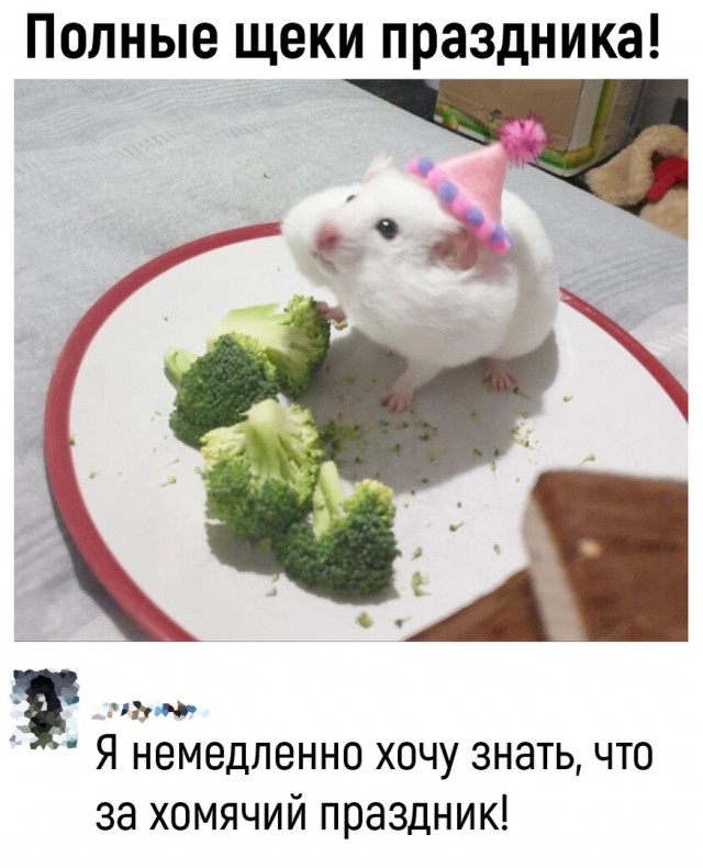 Так себе картинки 13.04.22