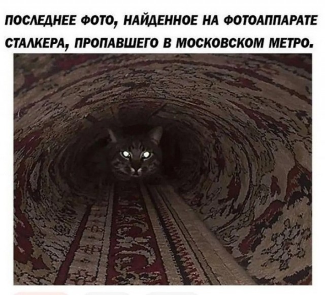 Веселые картинки!