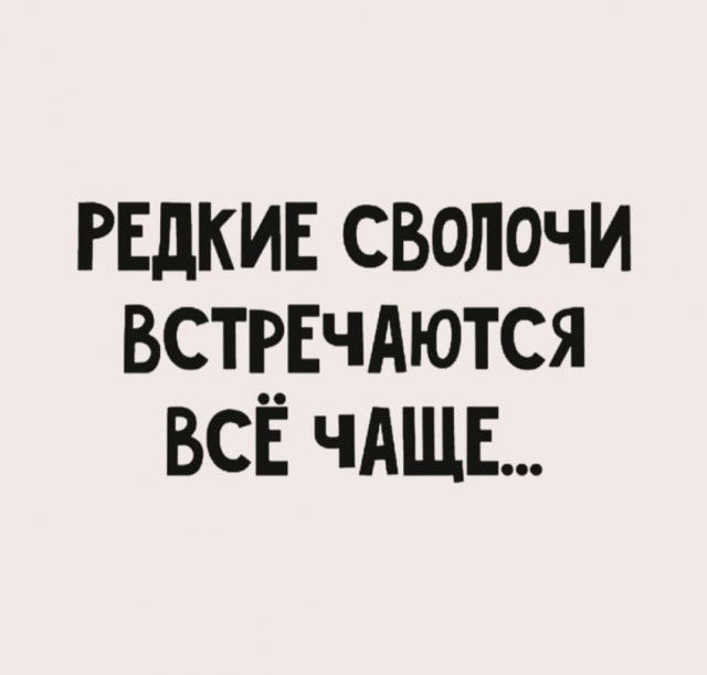 Юмор из Сети 20.06.22