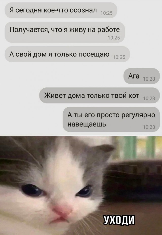 Так себе картинки 25.07.22