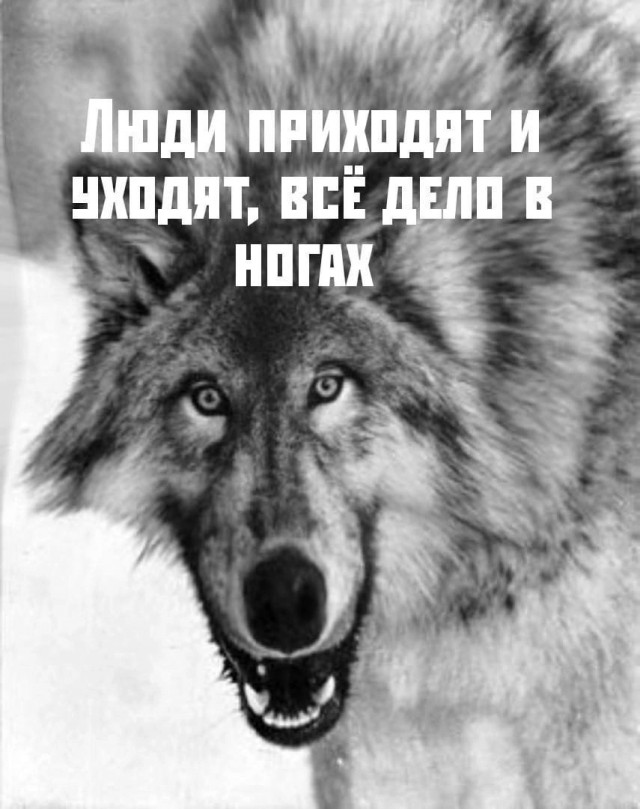 Картинки. Сборник без темы
