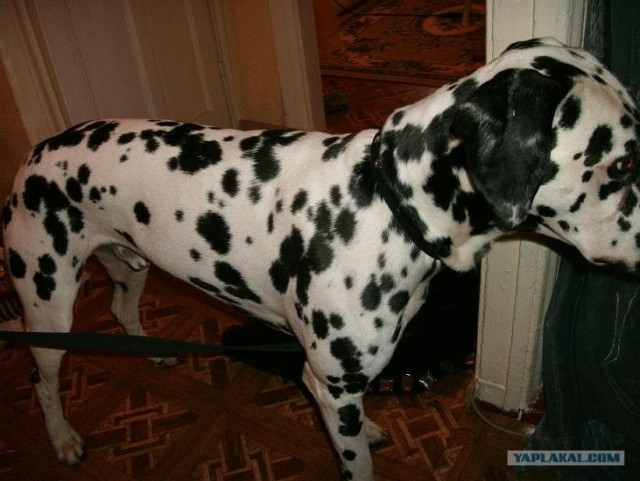 Что мне делать?Новосибирск-помогите.