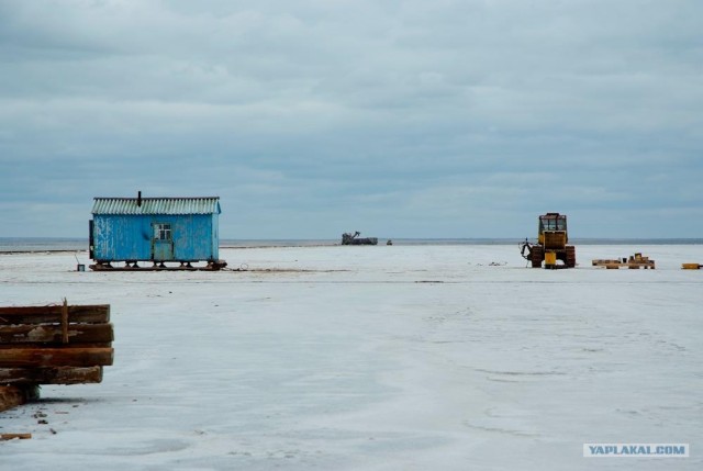 Вот в чем вся соль!