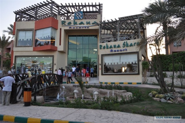 Как я ездил в Египет