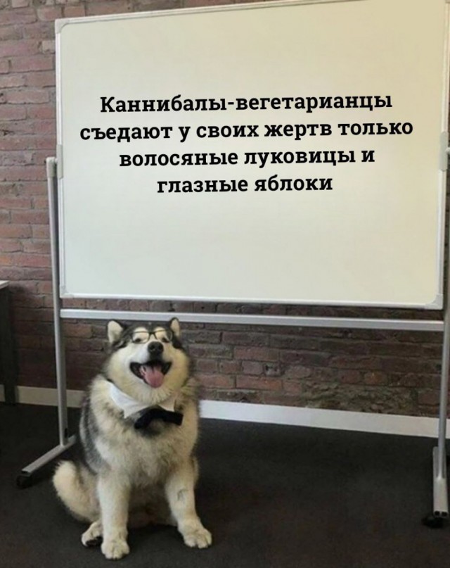 Просто подборка картинок без темы и смысловой нагрузки