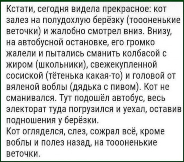 Картинки и мемы, всем хороших выходных