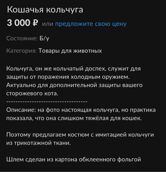 В Татарстане появилось объявление о продаже… кольчуги для кота
