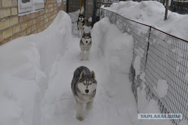 23 марта. Киев. Весна.