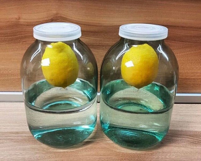 Для любителей смотреть на цены