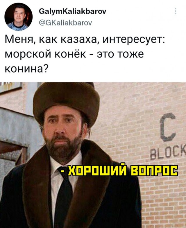 Весёлый полтишок 28.02.23