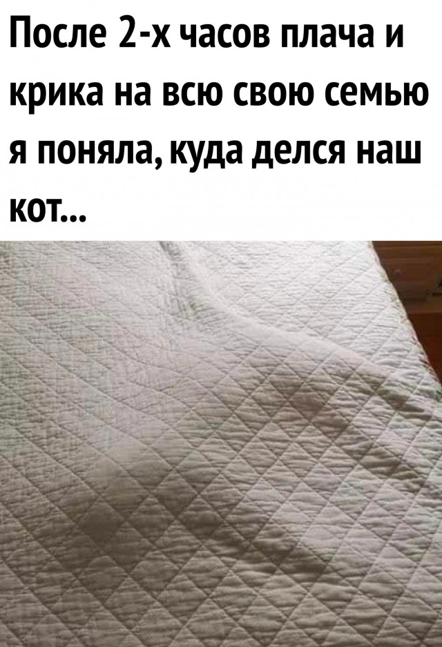 Так себе картинки 30.03.23