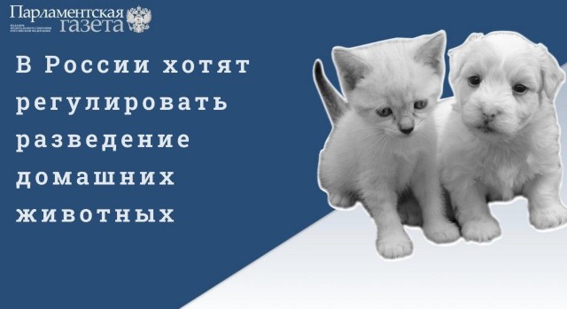 Победная поступь идиотизма по планете – том 13