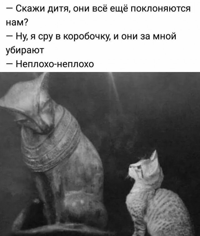 Принц древнего Египта, который очень любил свою кошку