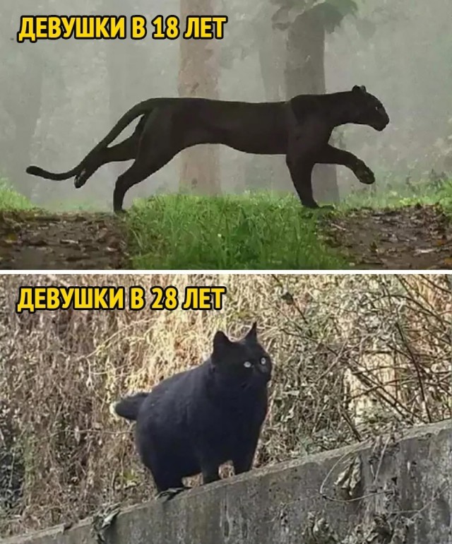 Всего понемногу 24.05