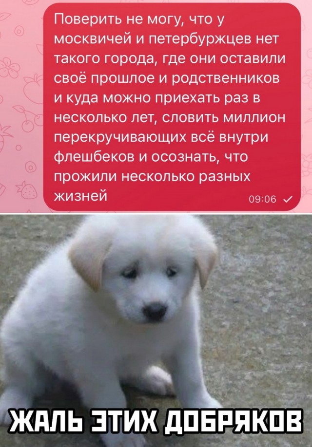 Так себе картинки 24.07.23