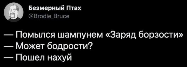 Забавные комментарии из социальных сетей (31.07.23)