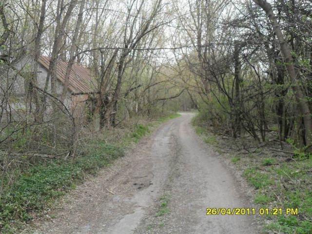 Чернобыль 2011